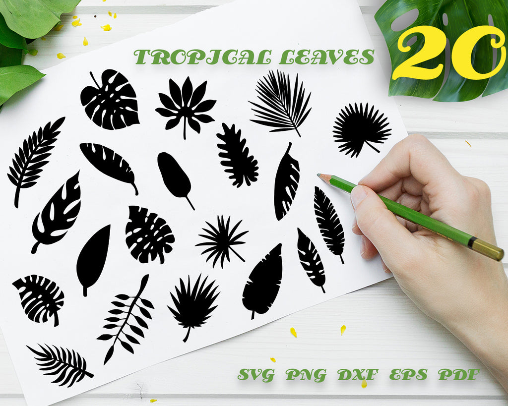 Download Tropical Leaves Svg Cut Files Tropical Palm Fronds Svg Cutting File Clipartic