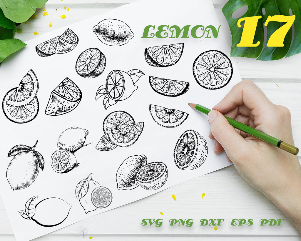 Download Lemon Svg Lemon Slice Vector Lemon Clipart Lemon Files For Cricut Clipartic