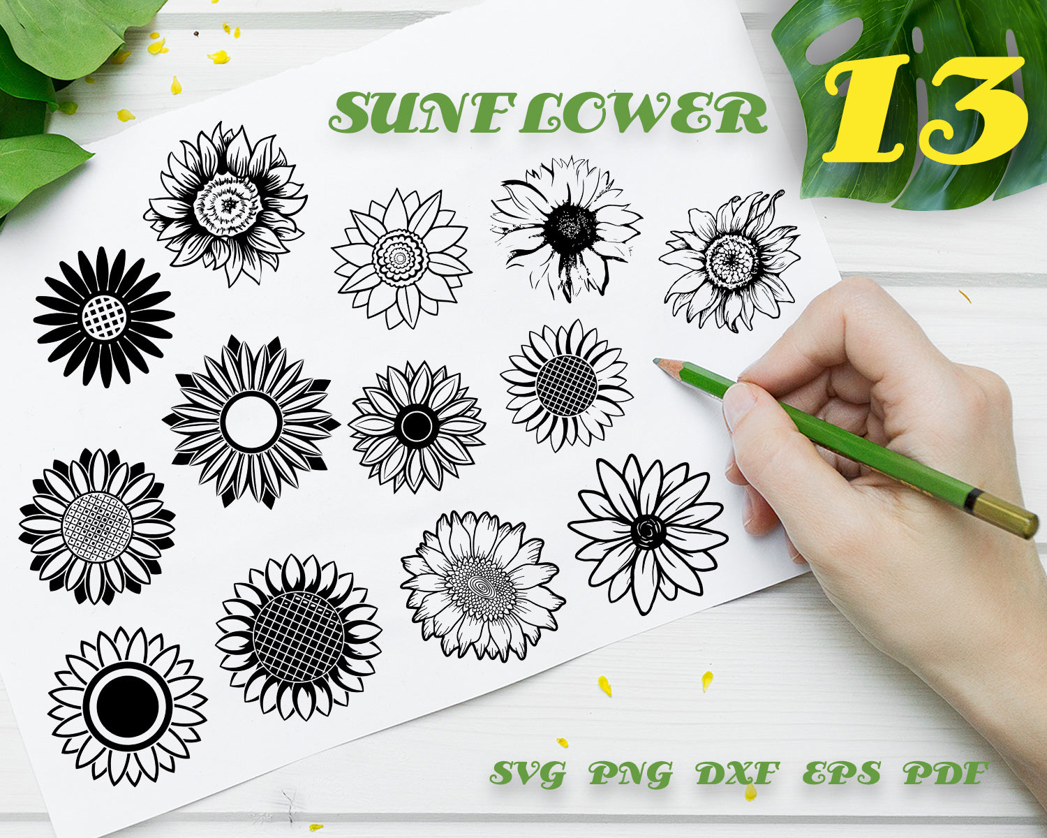 Free Free 104 Sunflower Shirt Svg Free SVG PNG EPS DXF File