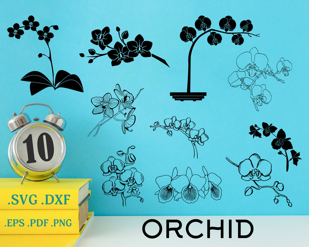 Download Orchid Svg Flower Svg Garden Svg Gardening Svg Floral Svg Bo Clipartic