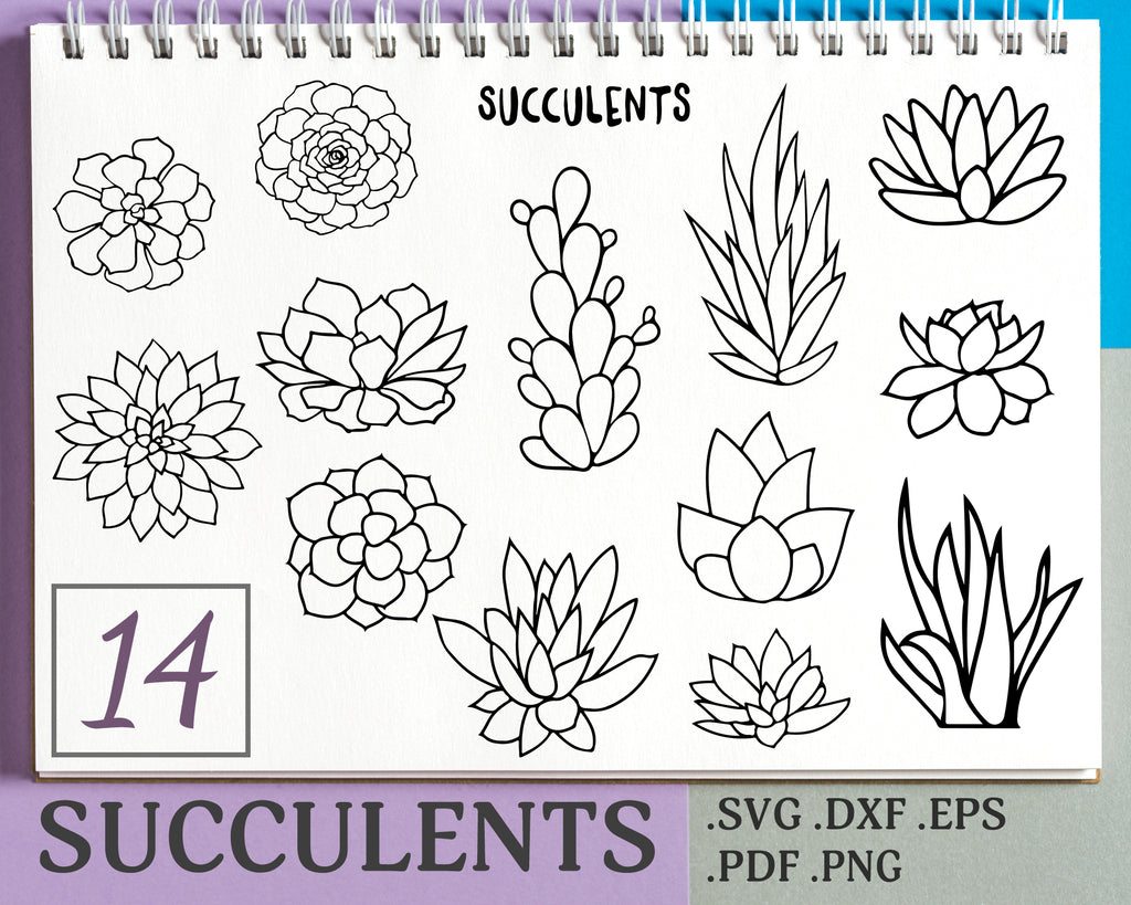 Download Succulent Svg Bundle Cactus Cut File For Cricut Instant Download Plant Svg Succulent Cut File For Silhouette Studio Digital Art Clip Art Art Collectibles Leadcampus Org