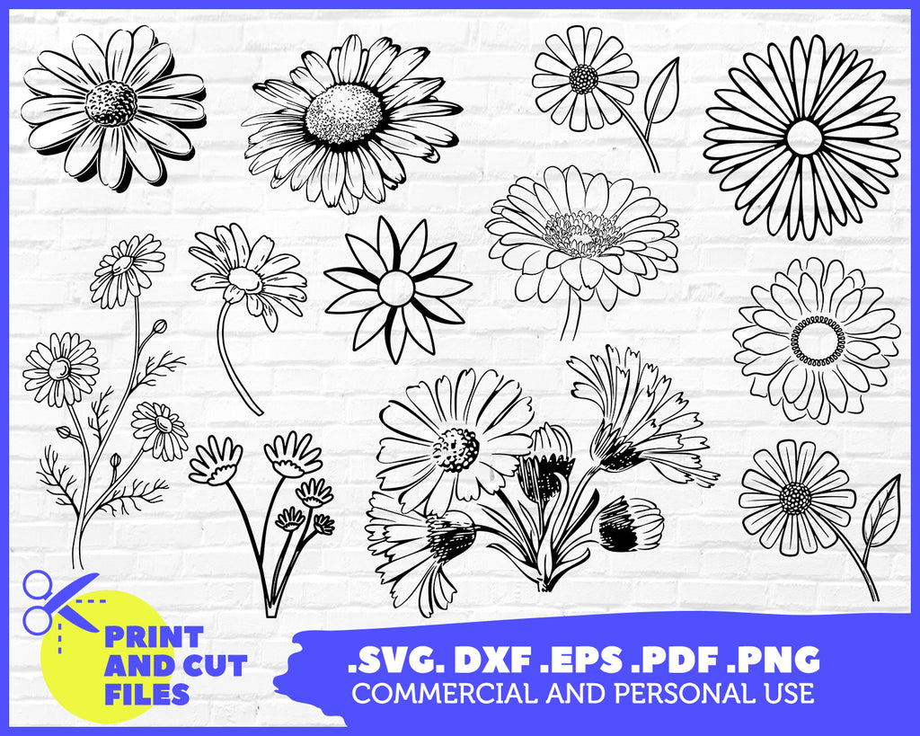 Download Daisy Svg Cut File Daisy Bundle Svg Daisy Flower Daisy Silhouett Clipartic