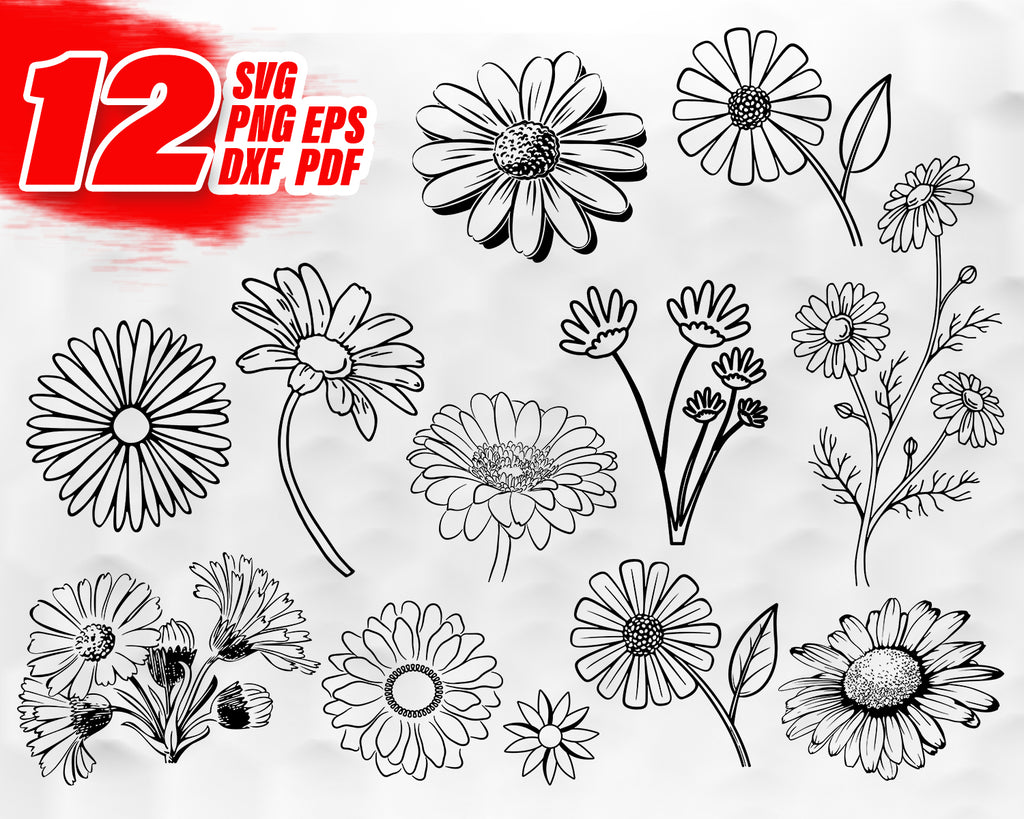 Download Daisy Svg Flower Svg Floral Svg Daisy Cut File Daisy Clipart Dais Clipartic