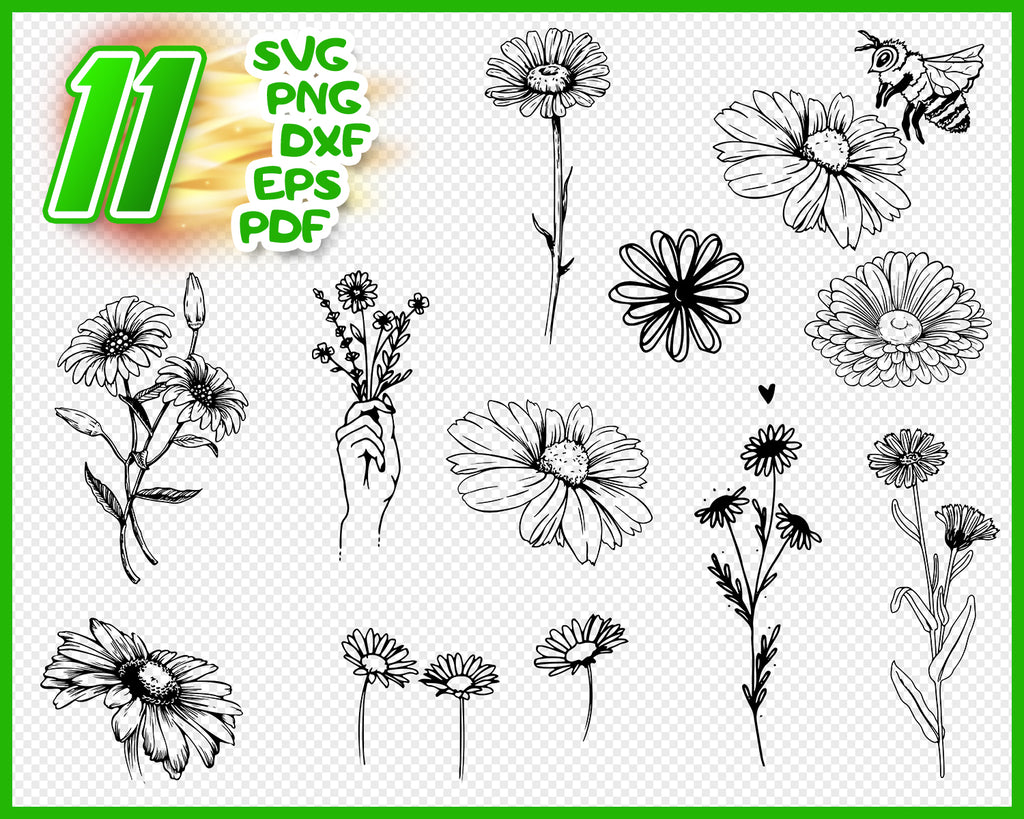 Download Daisy svg, flower svg, floral svg, botanical svg, garden ...