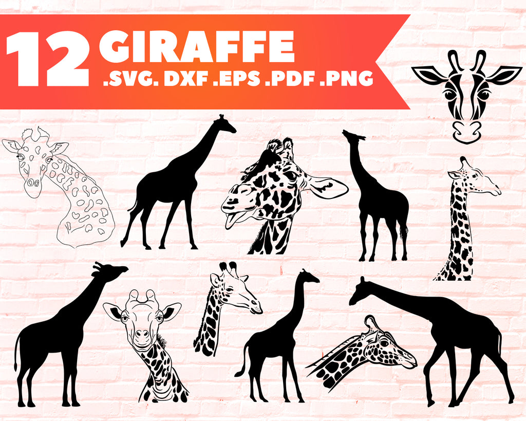 Download Giraffe Svg Giraffe Bundle Giraffe Svg Wild Life Svg Africa Animal Clipartic