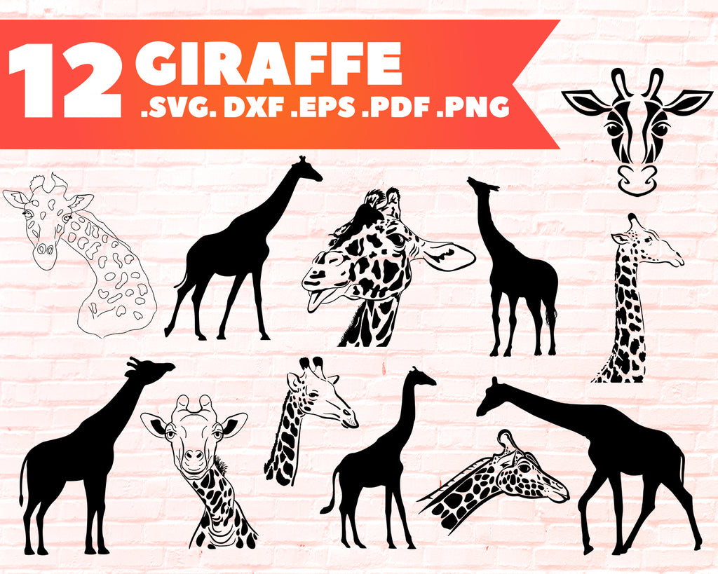 Free Free Baby Giraffe Svg Free 76 SVG PNG EPS DXF File