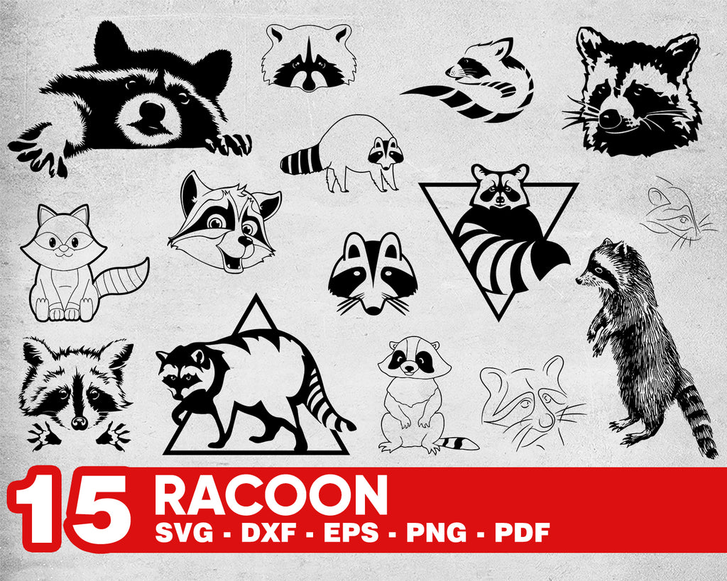 Download RACCOON SVG, raccoon clipart, raccoon cut file, raccoon vector, cute r - Clipartic