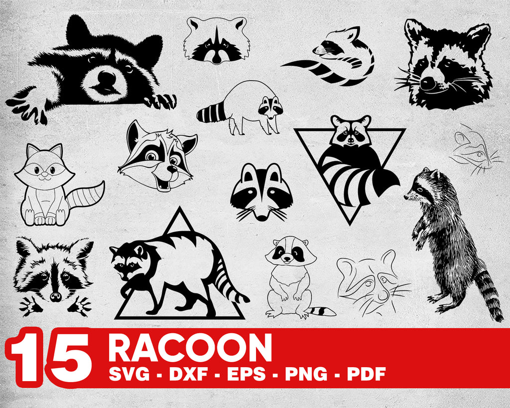 Free Free 334 Baby Raccoon Svg SVG PNG EPS DXF File