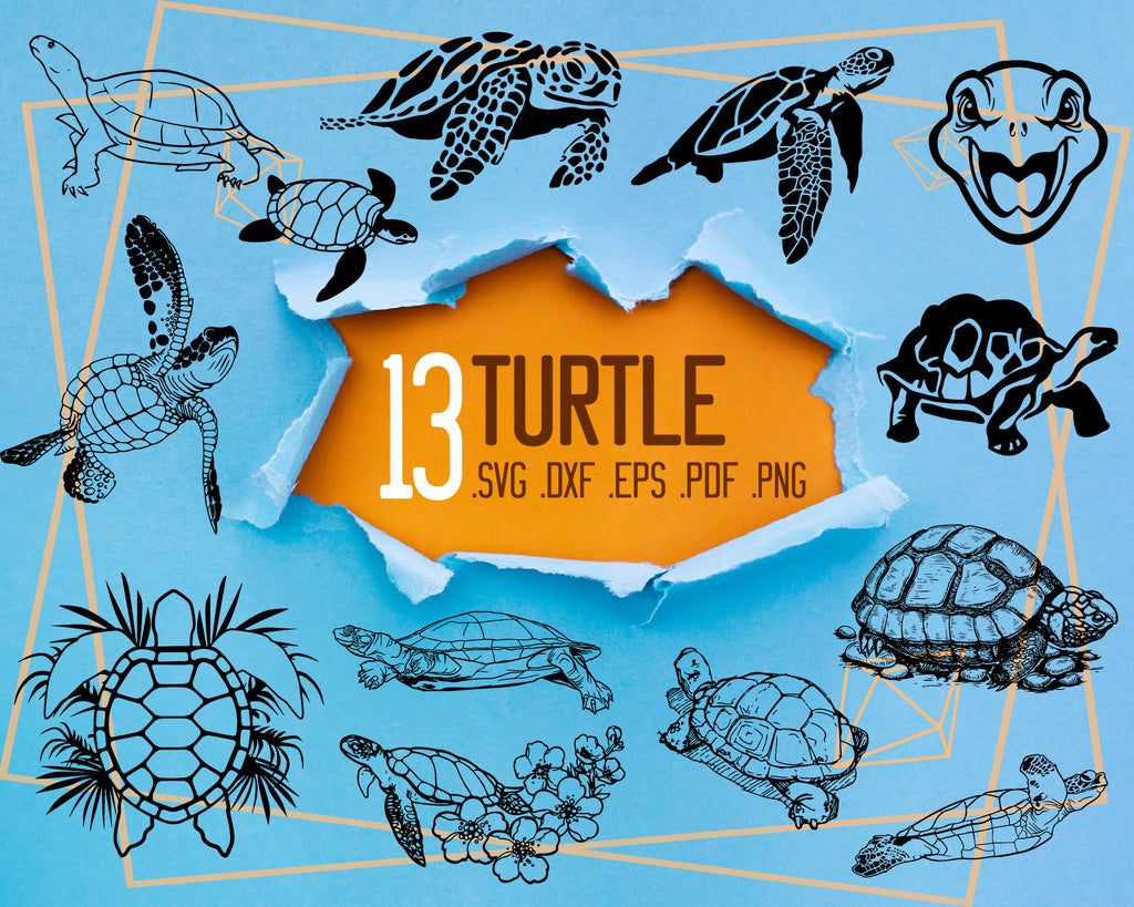 Download Turtle Svg Sea Turtle Svg And Jpeg Ocean Turtle Tortoise Ocean Anim Clipartic