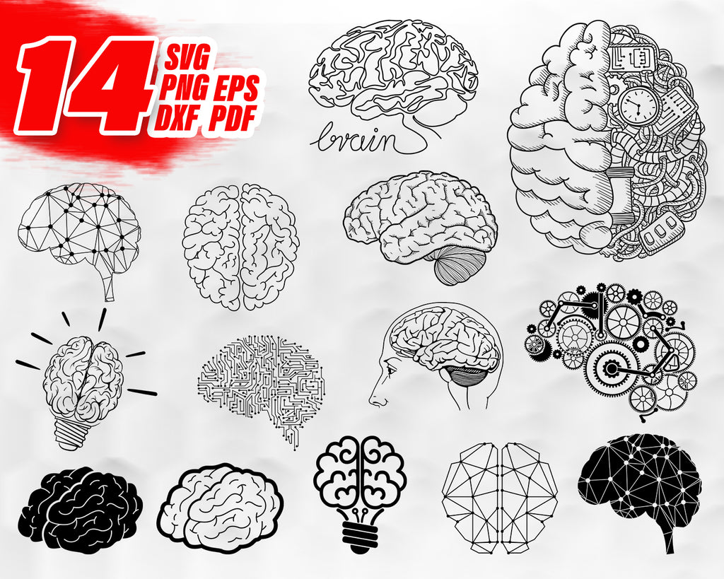 Download Brain Svg Human Brain Svg Organ Svg Clipart Decal Stencil Vinyl Clipartic