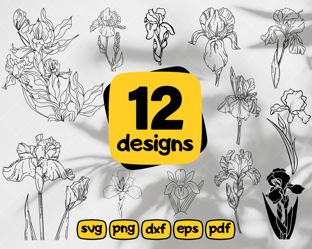 Free Free 215 Iris Flower Svg SVG PNG EPS DXF File