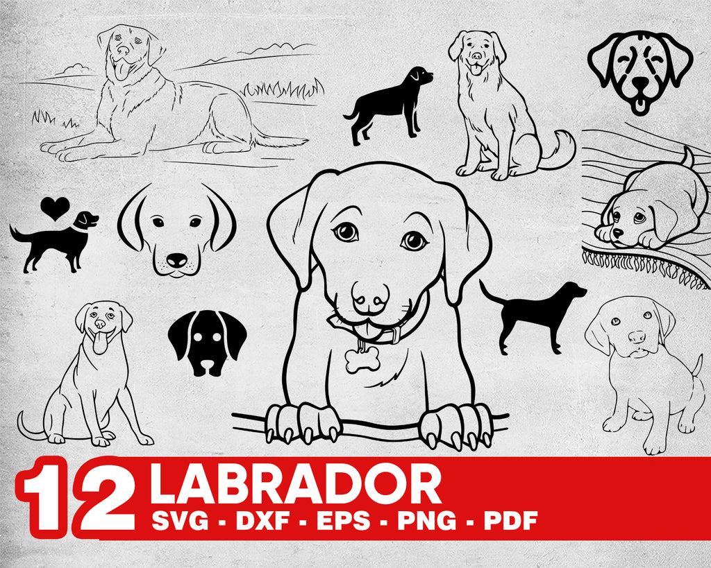 Download Labrador Svg Labrador Svg Black Labrador Svg Doggo Svg Doge Svg M Clipartic