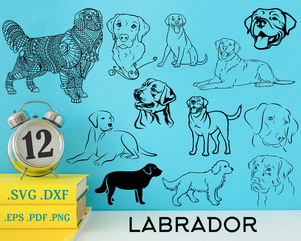 Download Labrador Svg Animals Svg Golden Retriever Svg Retriever Svg Dog Sv Clipartic SVG, PNG, EPS, DXF File