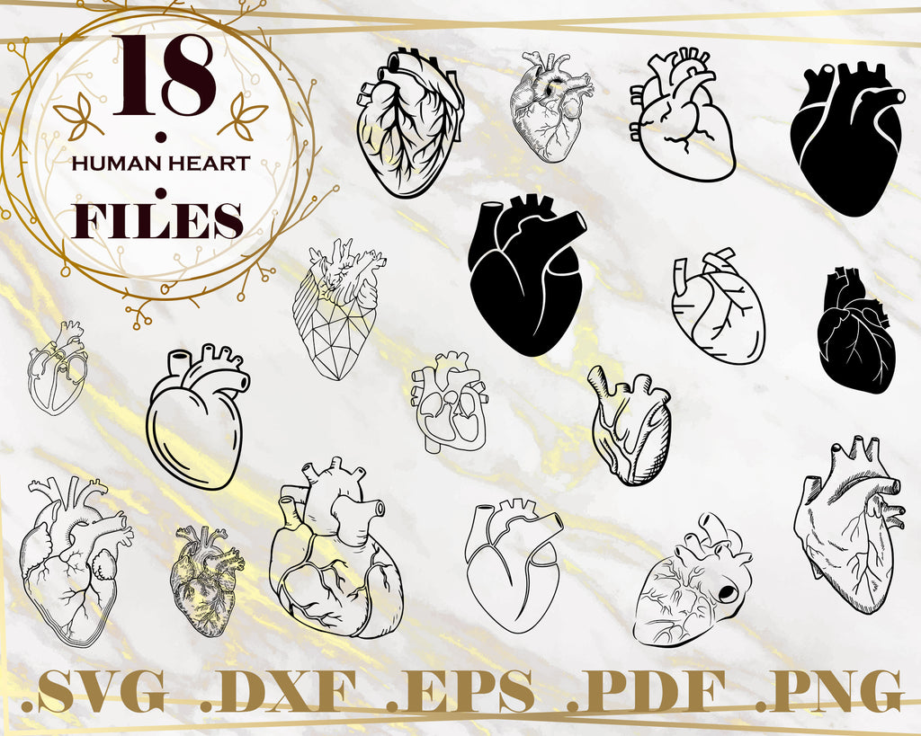 Download Human Heart Svg Clipart Silhouette Stencil File Cricut Cut File Clipartic