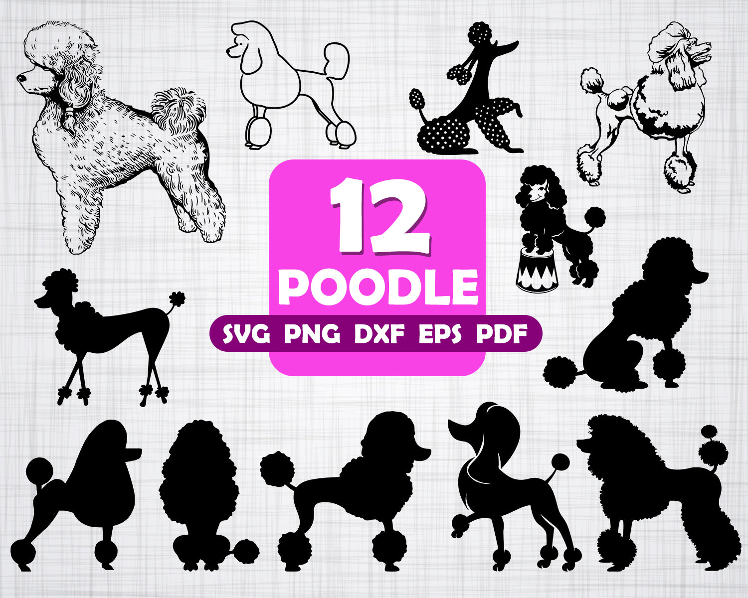 Download Poodle Svg Standard Poodle Svg Dogs Svg Digital Cutting File Vecto Clipartic