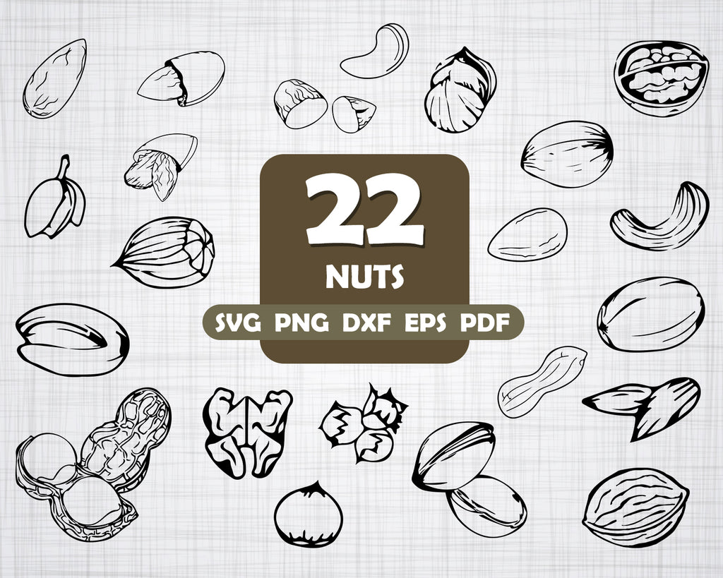 Download Nut Svg Nut Bundle Nutcracker Svg Nuts Vector Silhouette Nut Waln Clipartic