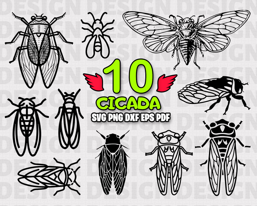 Download Cicada Svg Cicada Cutting Files Insect Svg For Cricut Cicada Bug Fl Clipartic