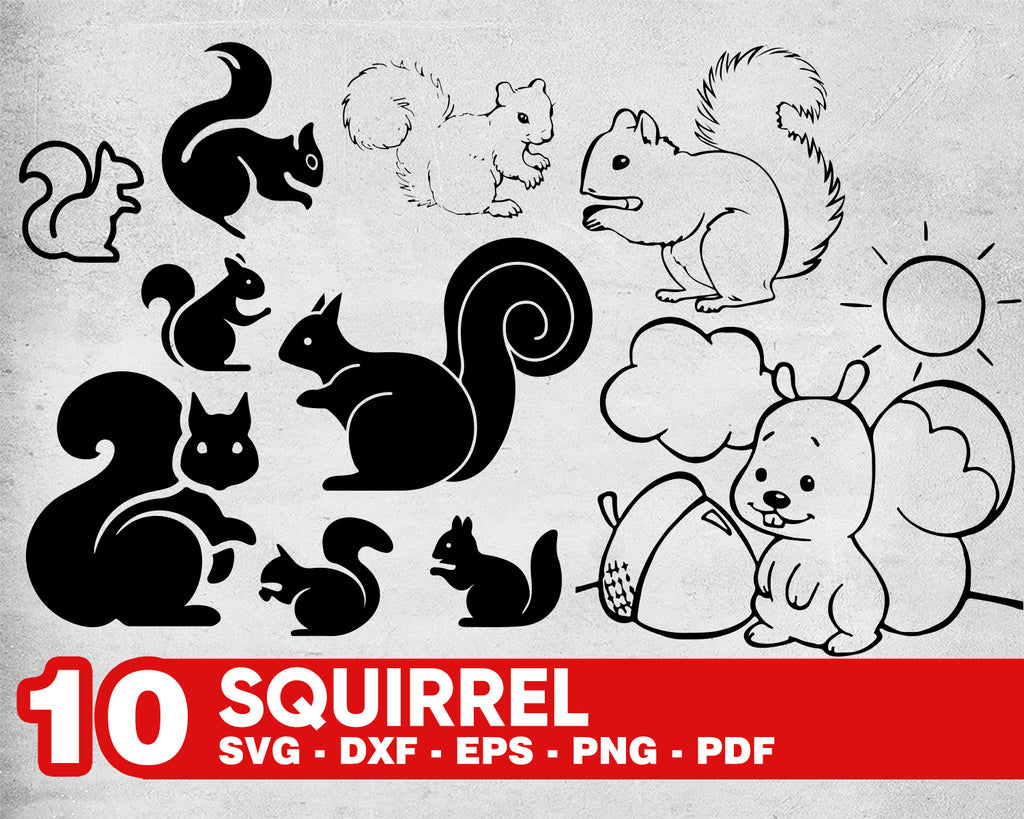Download Clip Art Art Collectibles Squirrel Svg Squirrel Silhouette Squirrel Vector Clipart Printable Cricut Cut Files Cricut Digital File