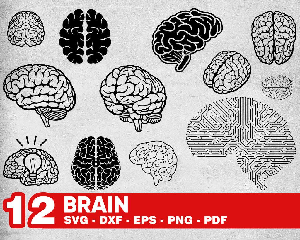 Download Brain Svg File For Cricut Brians Vector Images Clipart Human Brain Clipartic