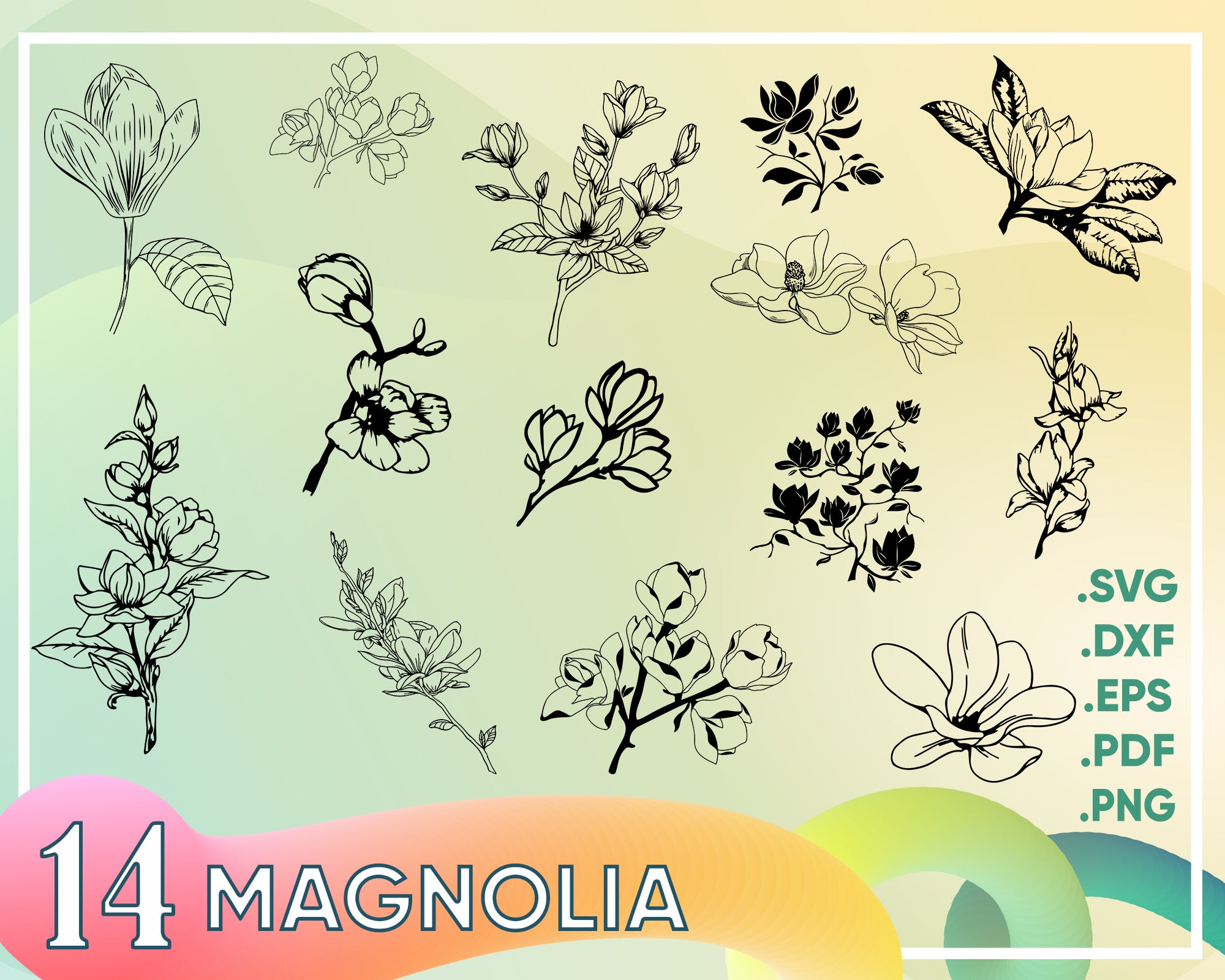 Download Magnolia Svg Magnolia Flower Flower Svg Magnolia Cut File Flower Clipartic