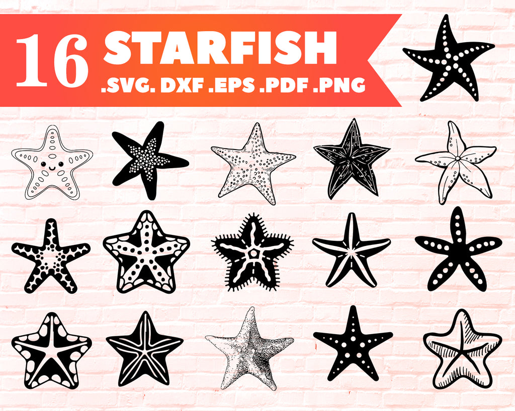Download Starfish Svg Starfish Bundle Starfish Svg Starfish Clipart Cut Fil Clipartic