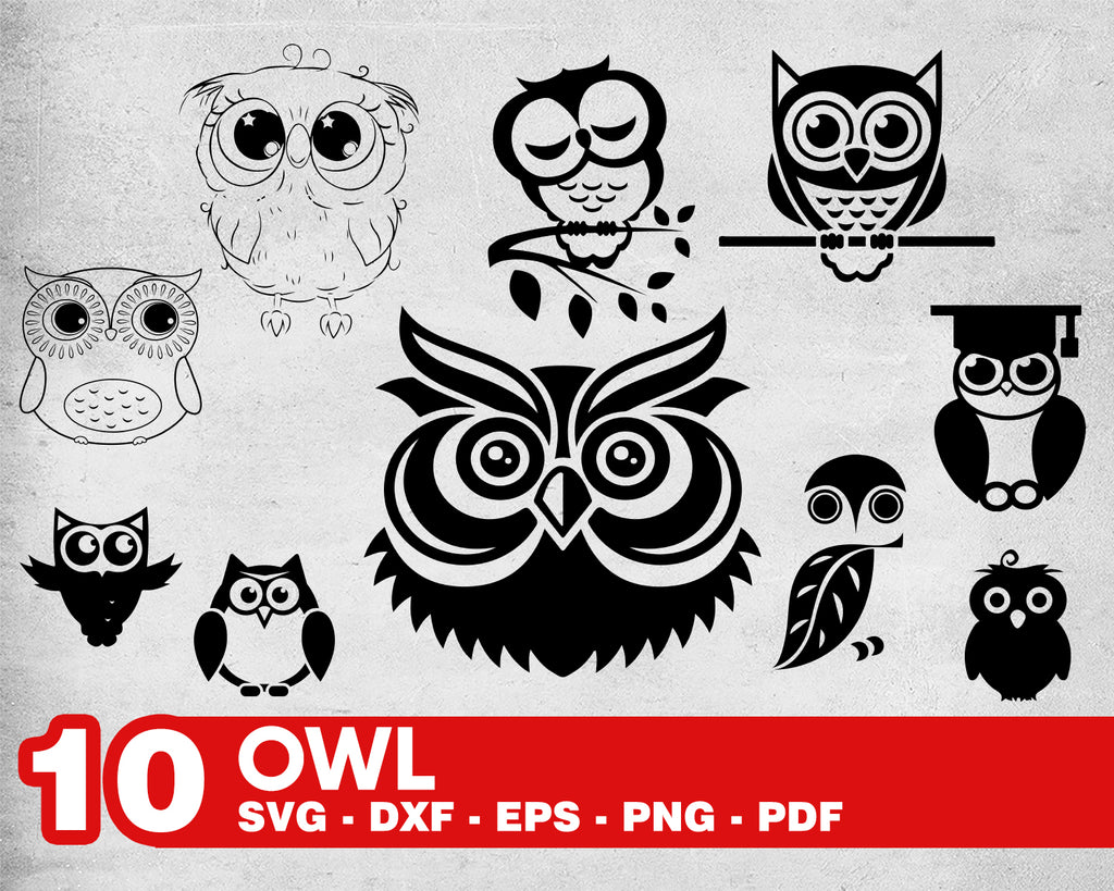 Download Owl Svg Owl Svg Bundle Birds Svg Bundle Owl Cut File Owl Clipart Clipartic