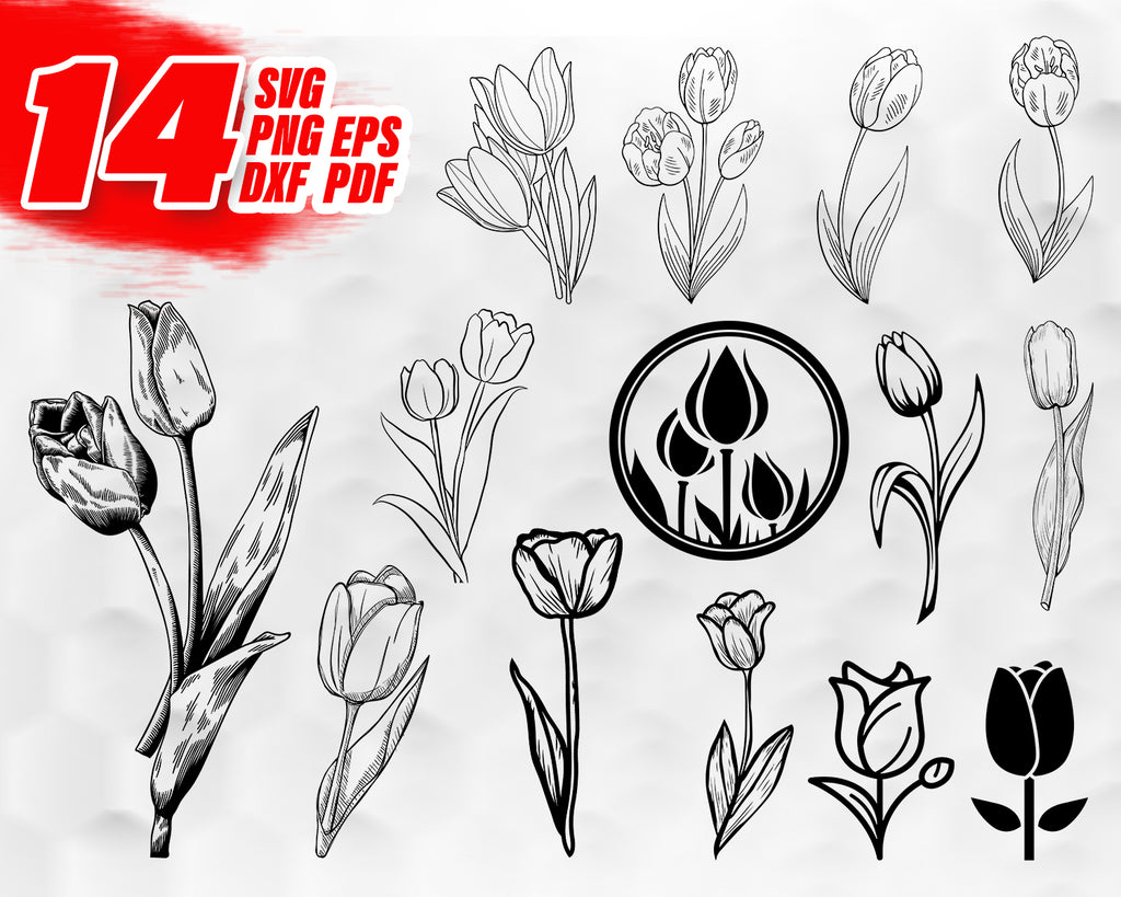 Download Tulip Svg Tulip Vector Flower Svg Spring Svg Tulip Flowers Svg T Clipartic