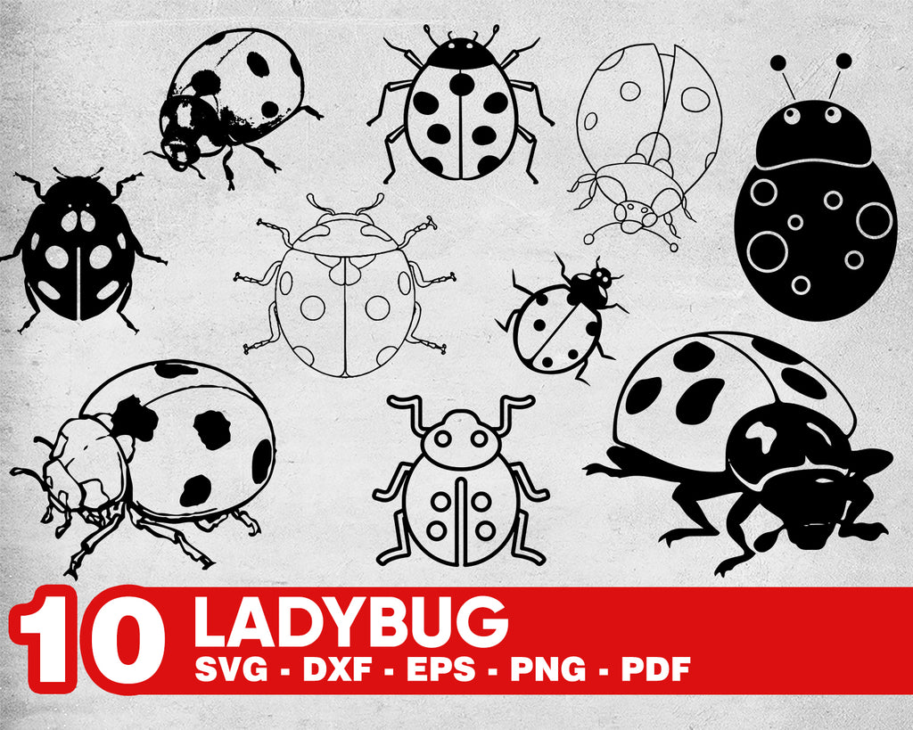 Free Free 191 Silhouette Ladybug Svg Free SVG PNG EPS DXF File