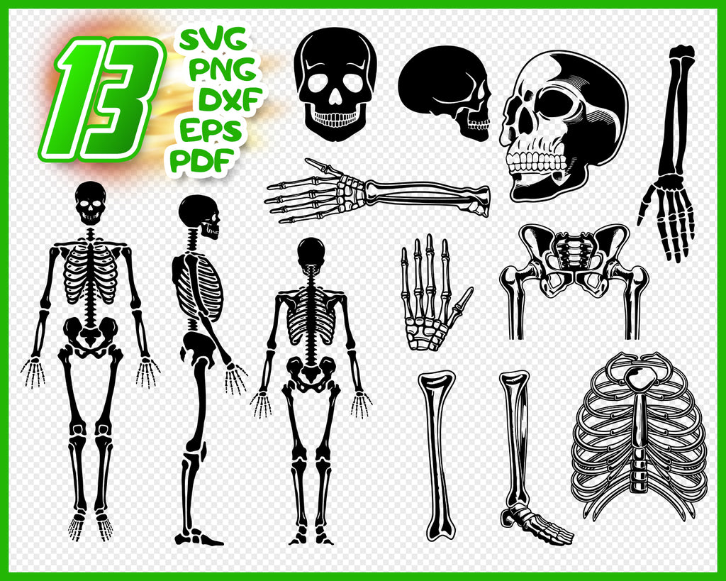 Download Skeleton Svg Halloween Svg Skull Svg Halloween Skeleton Skeleton S Clipartic