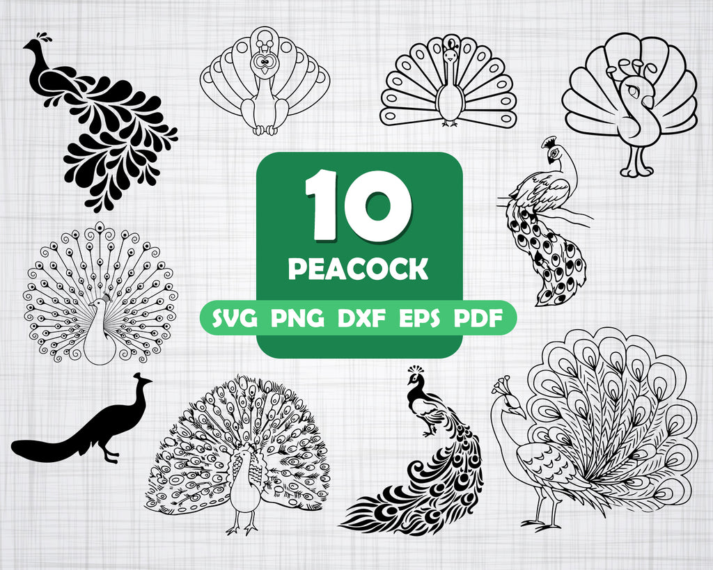 Download Peacock Cut File Svg Pdf Png Clip Art Art Collectibles Tripod Ee