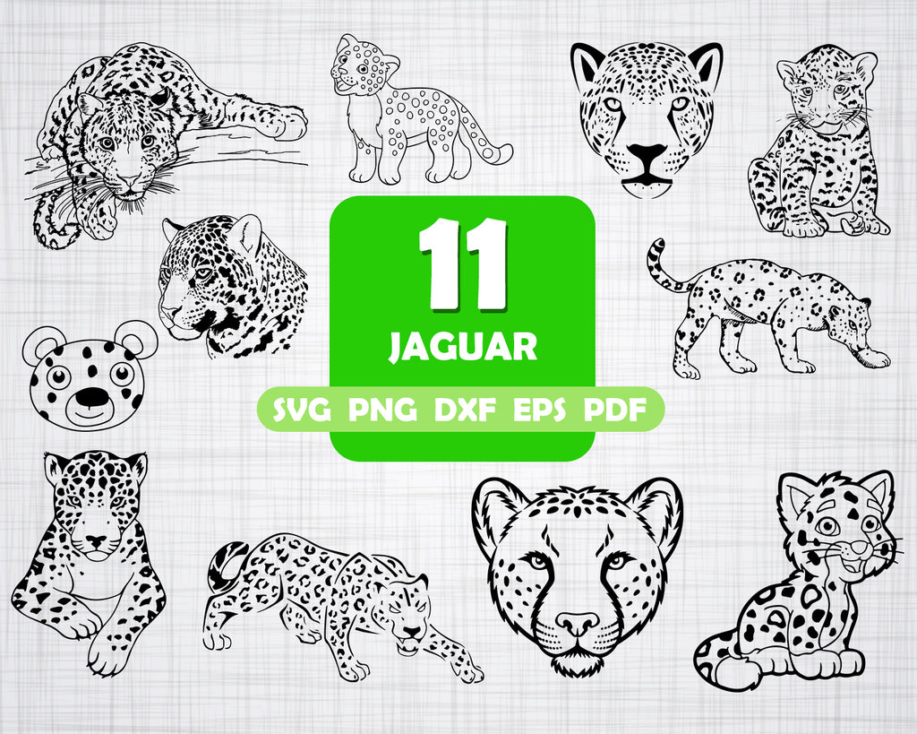 Download Jaguar Svg Animals Leopard Svg Jaguar Clipart Jaguar Files For Cri Clipartic