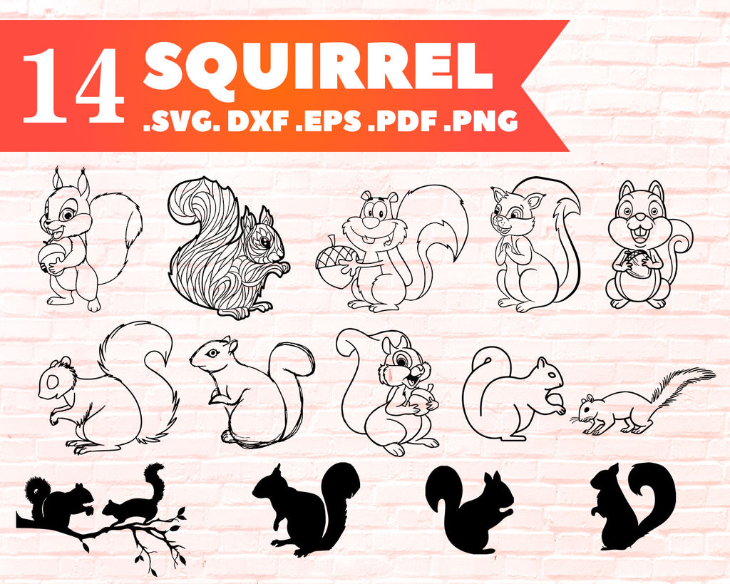 Download Squirrel Svg Squirrel Bundle Squirrel Vector Squirrel Clipart Cut Clipartic