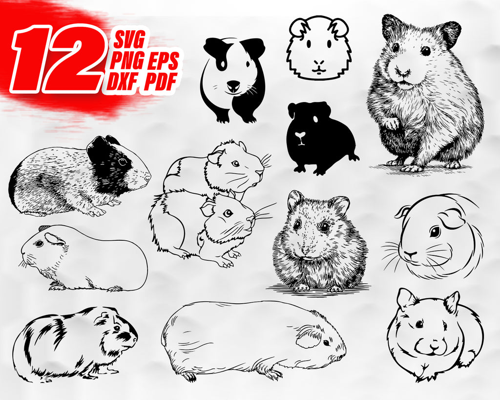 Guinea Pig Svg Hamster Svg Rodent Svg Cavy Svg File Animals Guine Clipartic