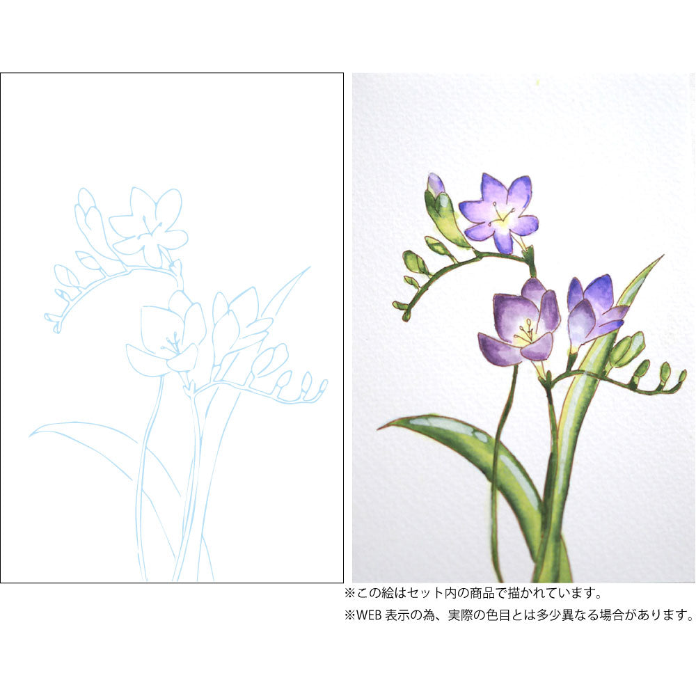 水彩イラスト 花の描き方レッスン グラデーション Ew 2