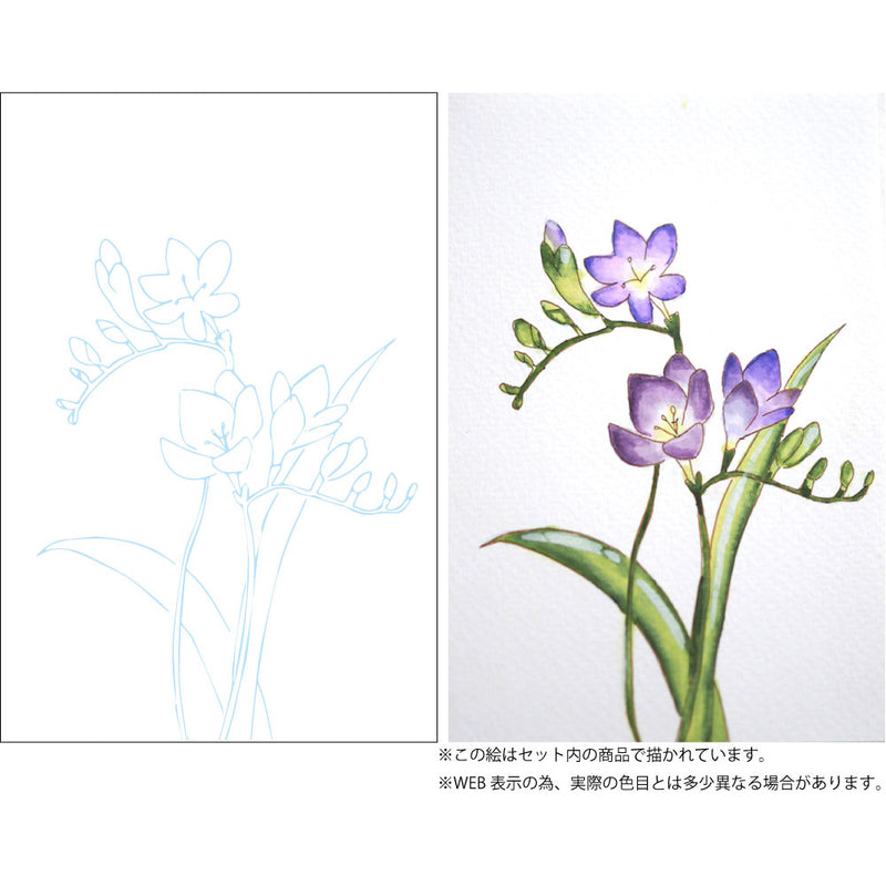 水彩イラスト 花の描き方レッスン グラデーション Ew 2
