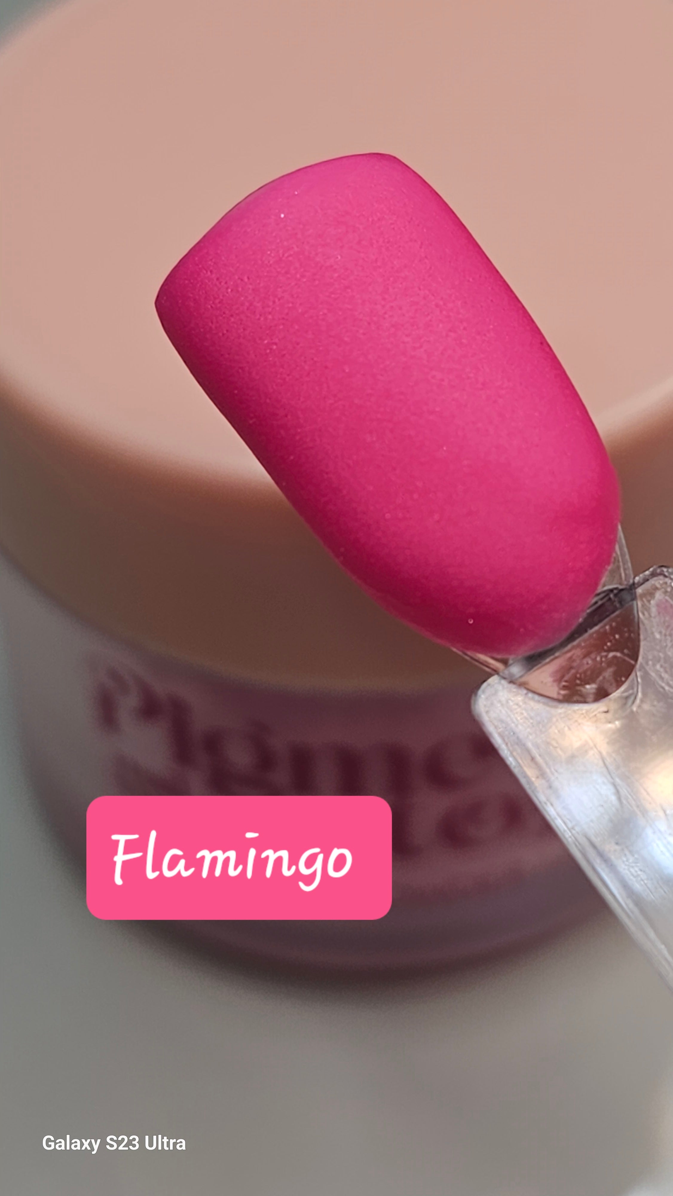 Flamingo