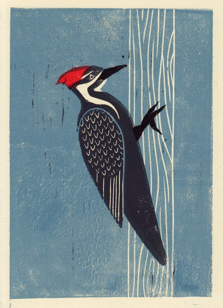 Pileated Woodpecker Hand Carved Linocut Illustration Art Print By Anna Annasee