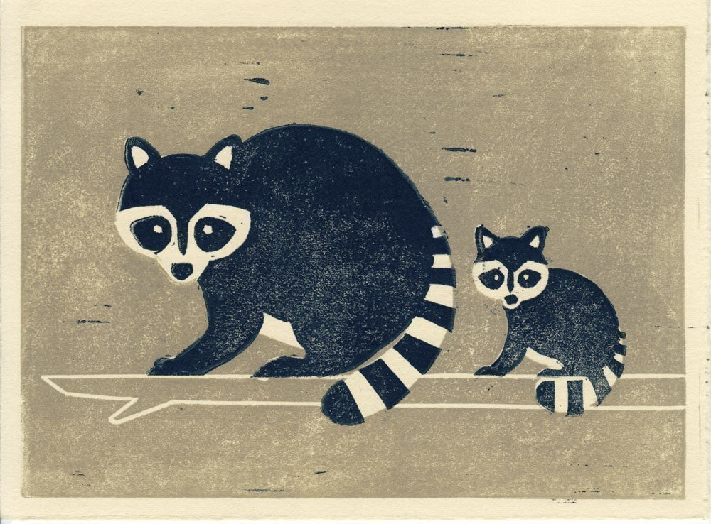 Kết quả hình ảnh cho raccoon illustration