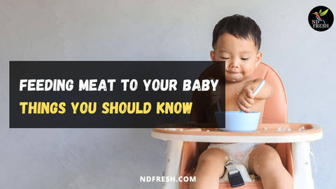 feeding meat to your baby things you should know