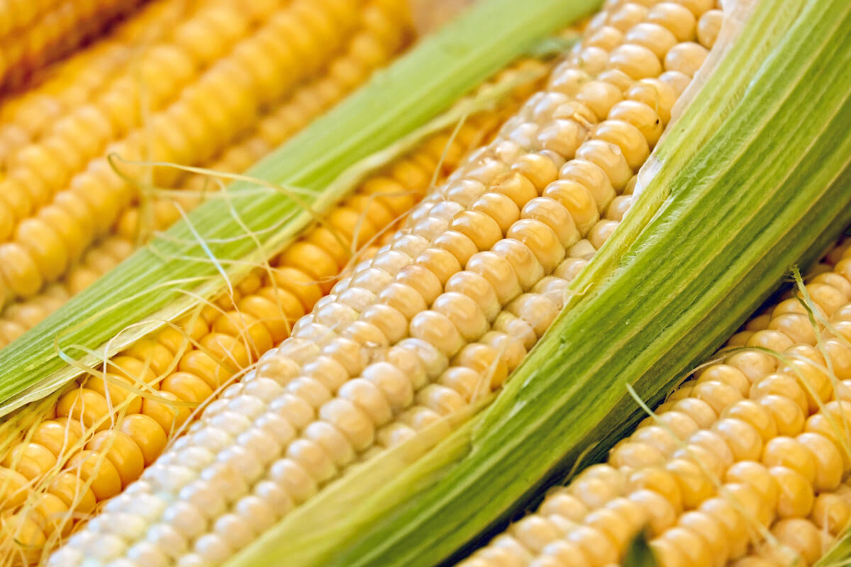 Corn Silk Nutrients