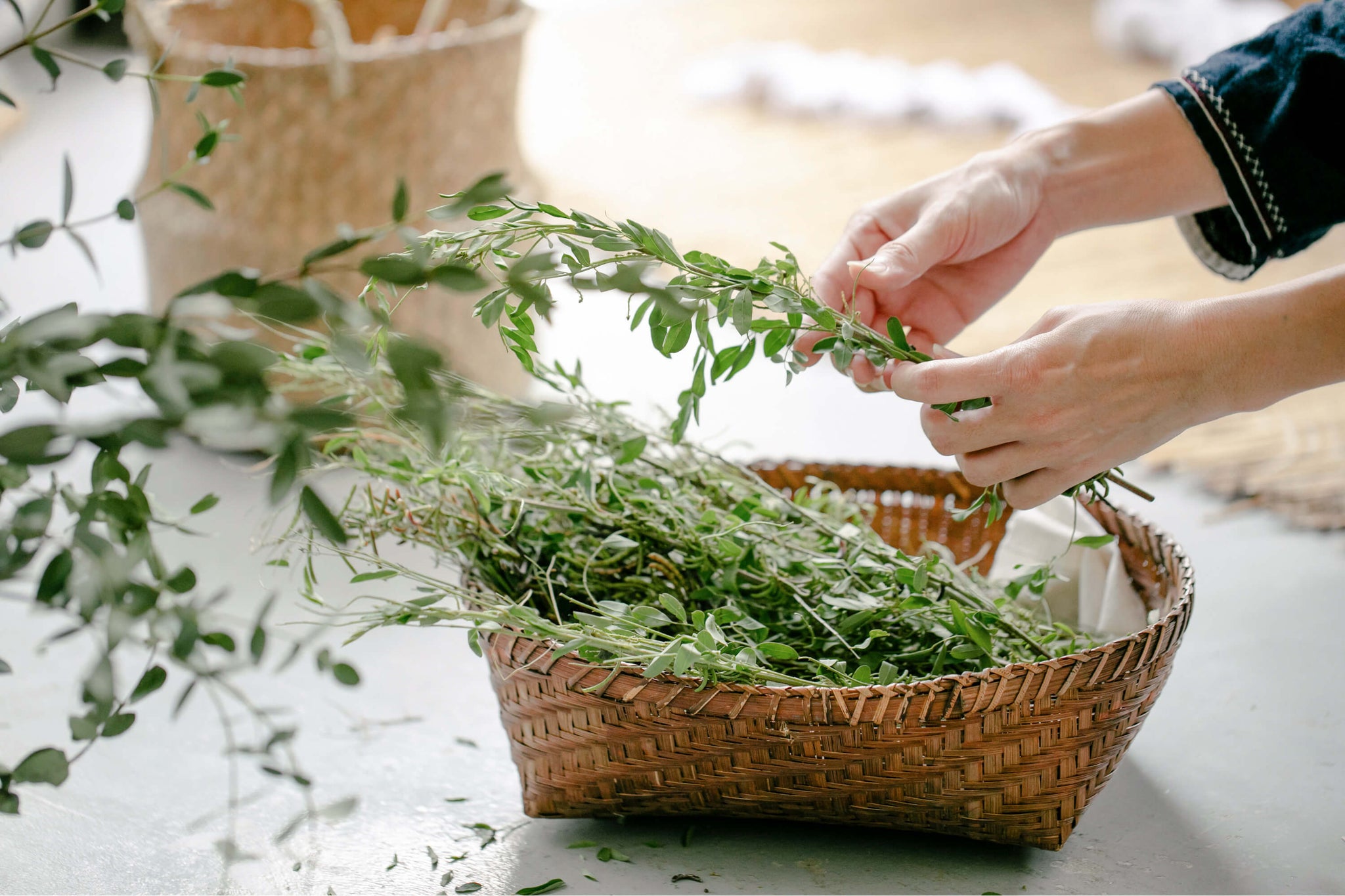 History of Herbalism