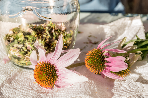 Herbal Tinctures