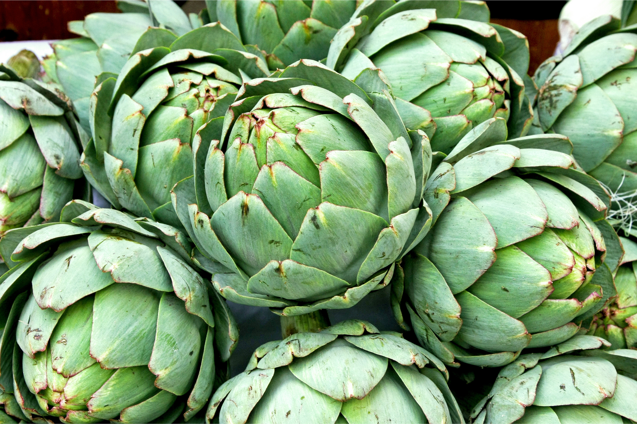 artichoke health benefits