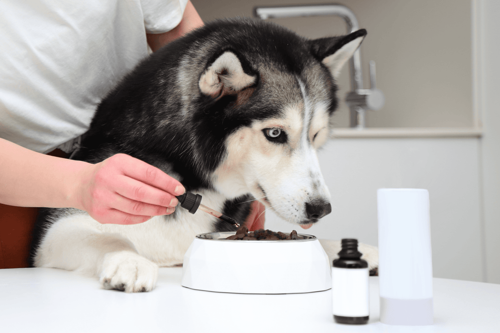 Pet Vitamins and Supplements Wholesale