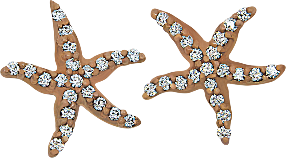 Starfish featured jewelry item