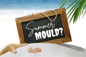 What to do about removing mould in summer