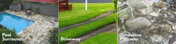 Images of mould affected pool surrounds, driveway and sandstone pathway.