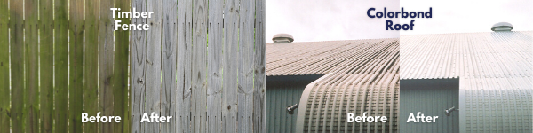 Image of before and after images of an algae affected timber fence and a mould affected colorbond roof.