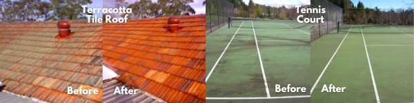 Image with a before and after pictures of a lichen affected terracotta tile roof and a mould affected tennis court.