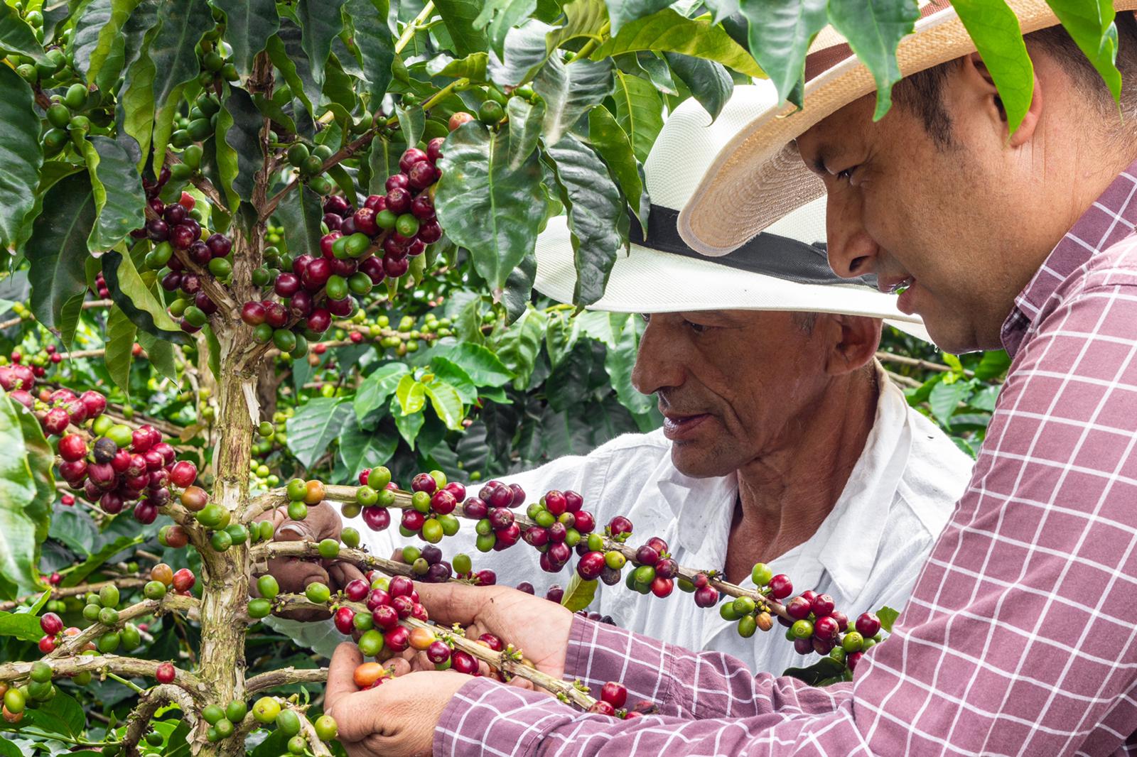 Colombian coffee